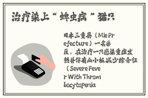 约战平台手机版官网